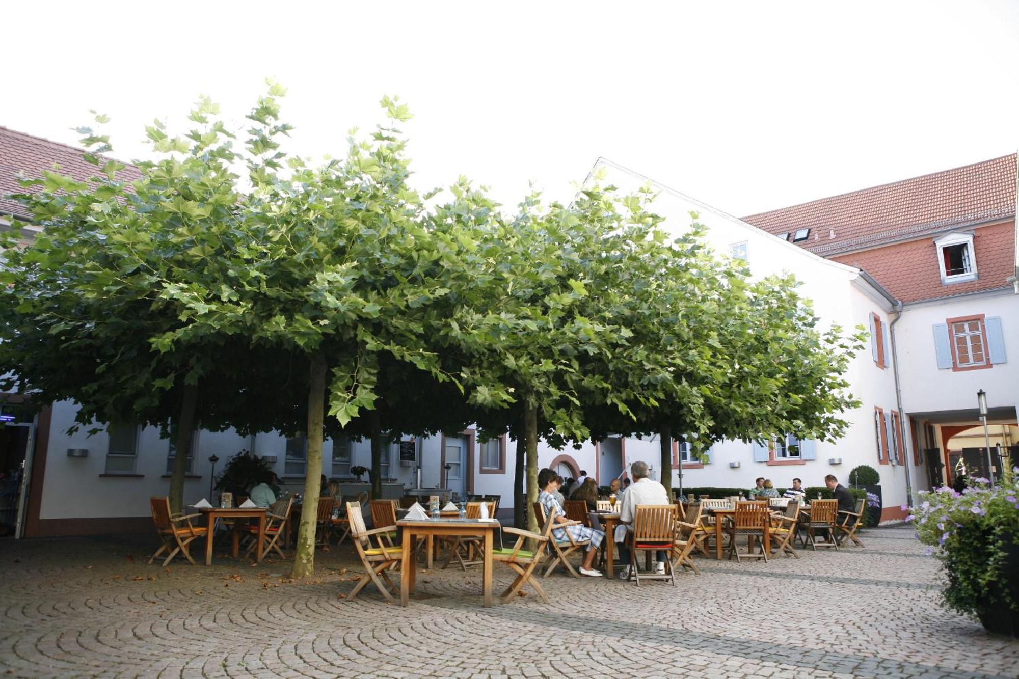 Landhotel Zum Schwanen Mit Restaurant Mona Liza Osthofen Εξωτερικό φωτογραφία